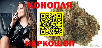 apvp Тулун
