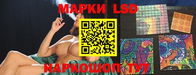 apvp Тулун