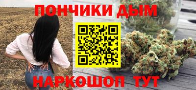 apvp Тулун