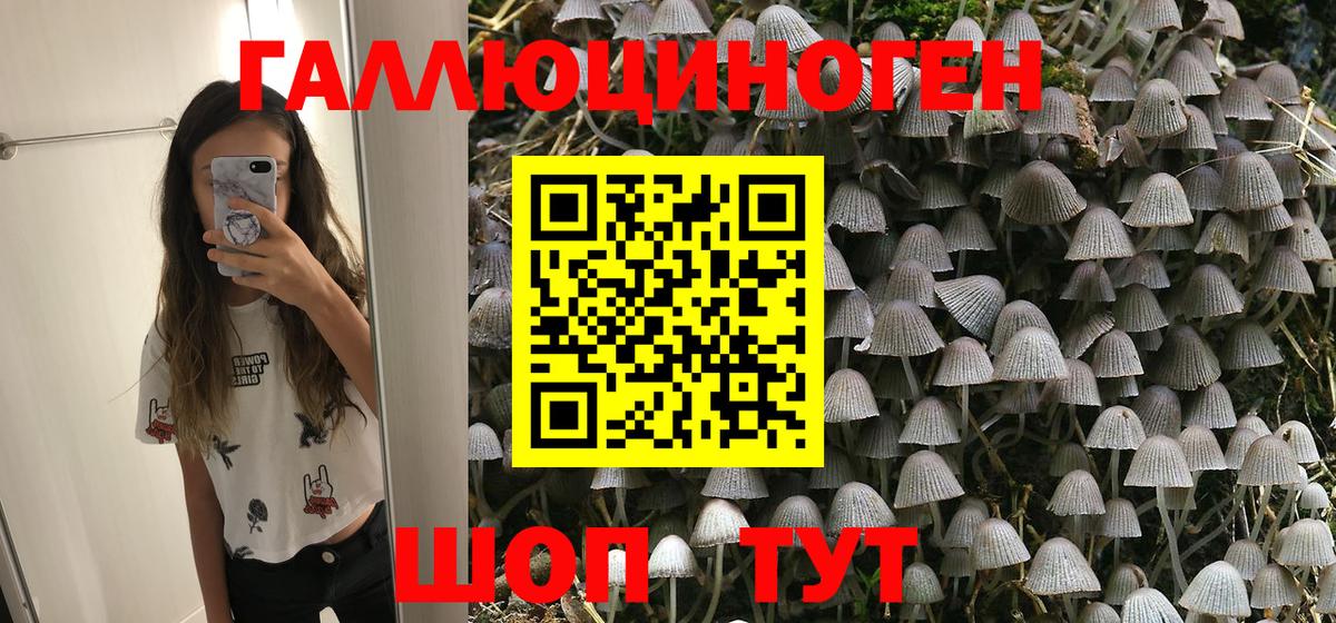 Псилоцибиновые грибы Psilocybe  магазин    Новотроицк  Вход с VPN 