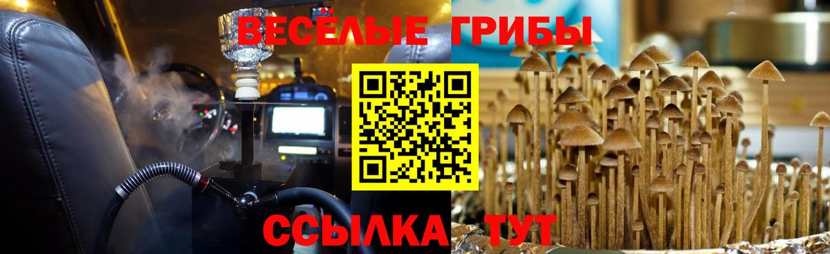 Псилоцибиновые грибы прущие грибы Новотроицк
